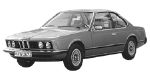 BMW E24 B219F Fault Code